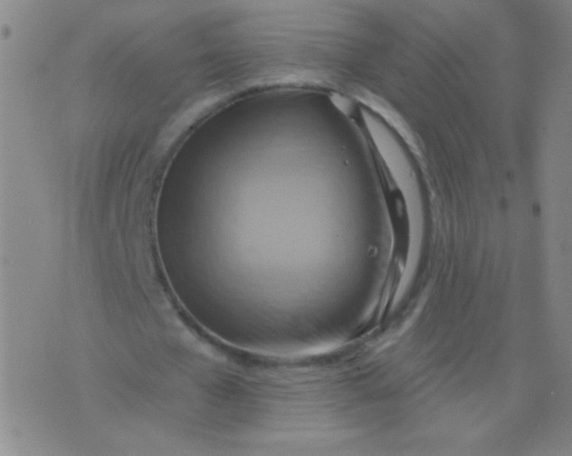 X0000075830577200610061824