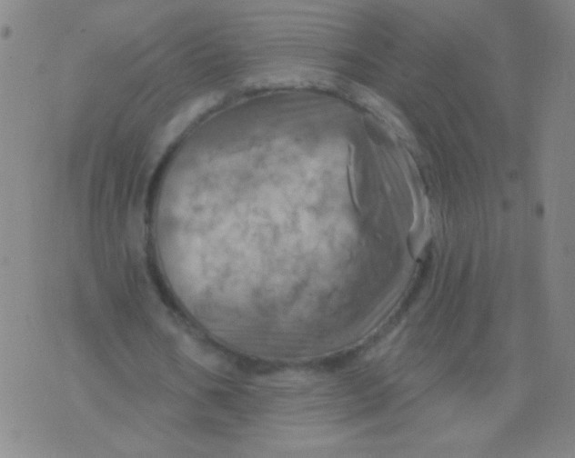 X0000075830578200610061824