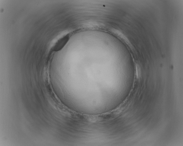 X0000075830579200610061824