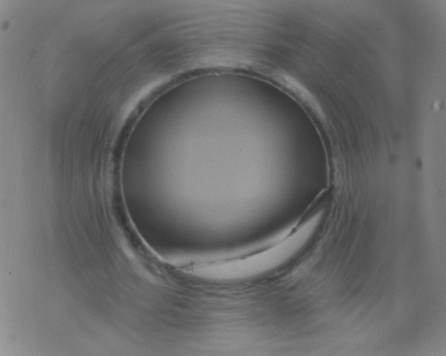 X0000075830580200610061824