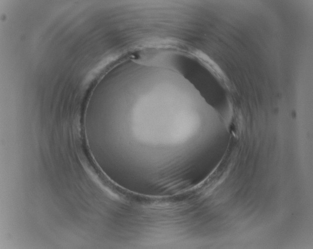 X0000075830581200610061824