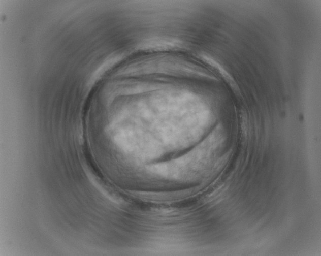 X0000075830582200610061824