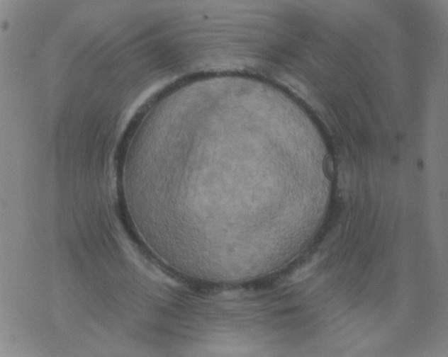 X0000075830584200610061824