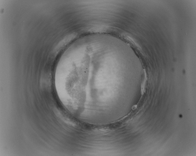 X0000075830586200610061824