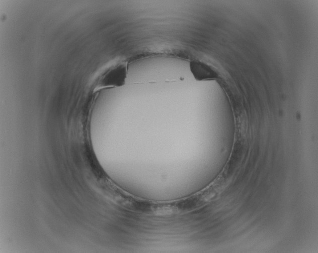 X0000075830587200610061824