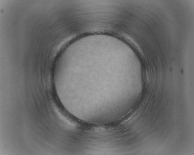 X0000075830588200610061824