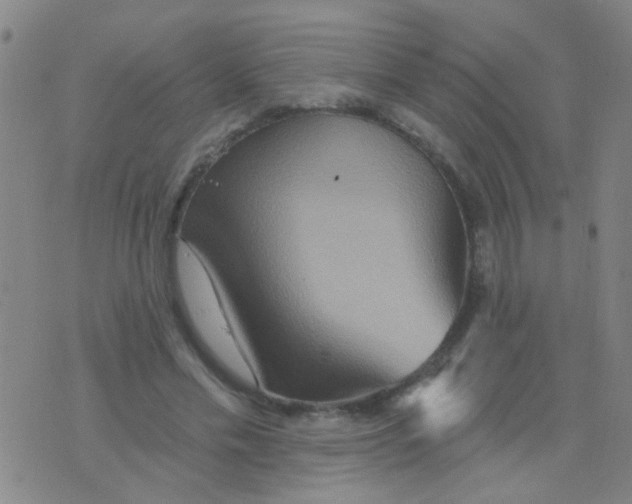 X0000075830589200610061824