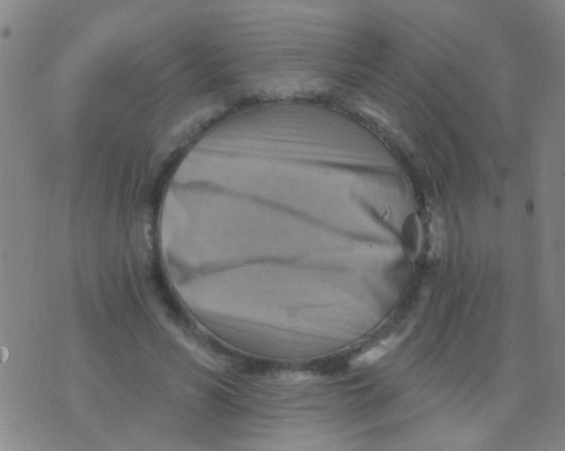 X0000075830590200610061824