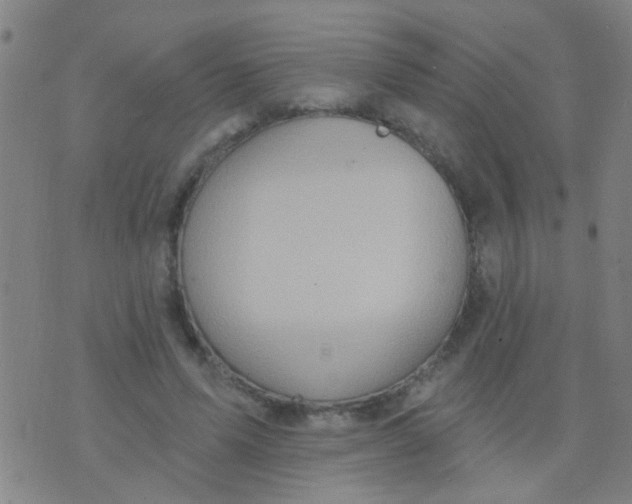 X0000075830591200610061824