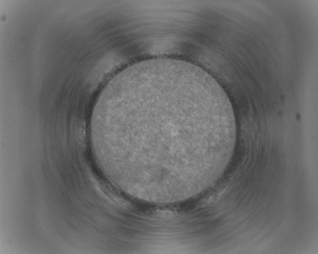 X0000075830592200610061824