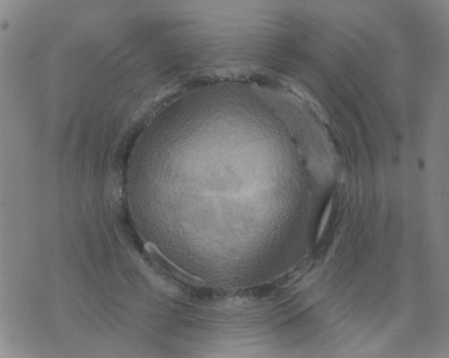 X0000075830593200610061824