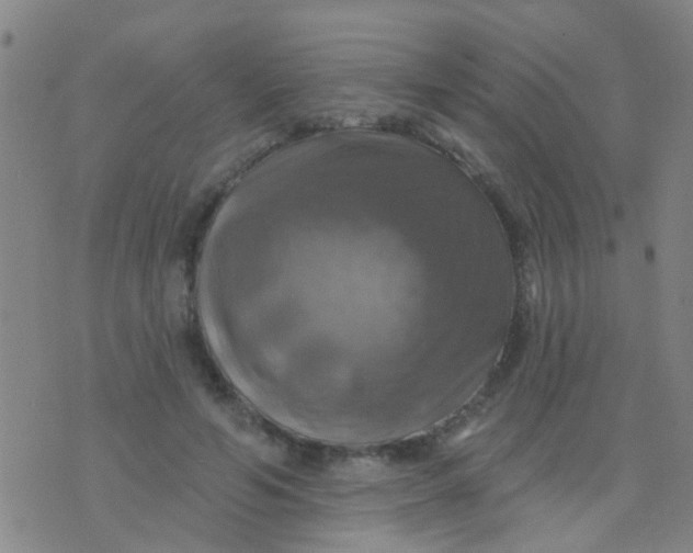 X0000075830594200610061824