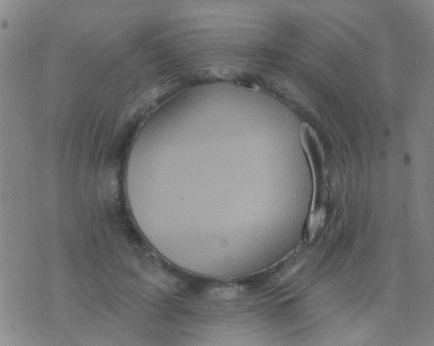 X0000075830595200610061824