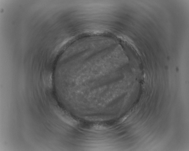 X0000075830596200610061824