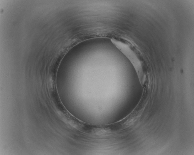 X0000075830597200610061824