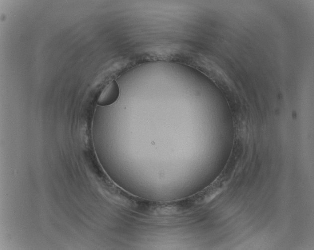 X0000075830599200610061824