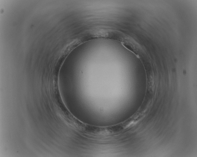 X0000075830600200610061824