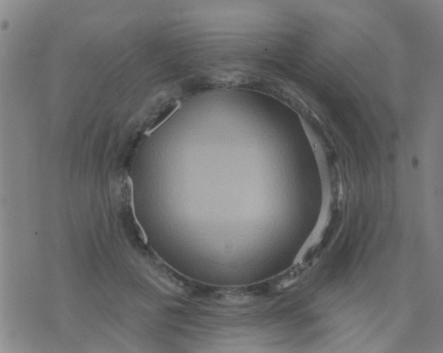 X0000075830601200610061824