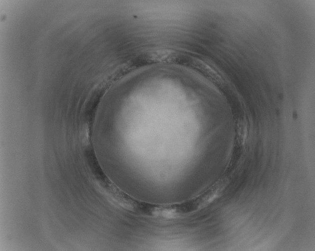 X0000075830602200610061824