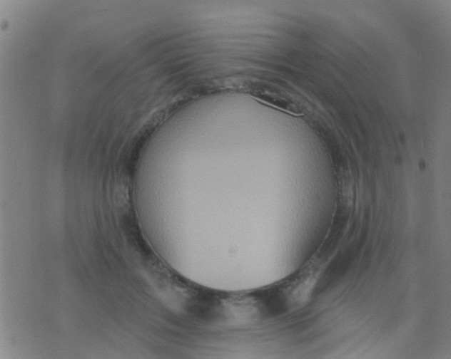 X0000075830603200610061824