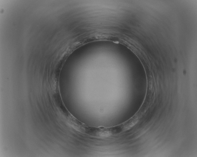 X0000075830604200610061824