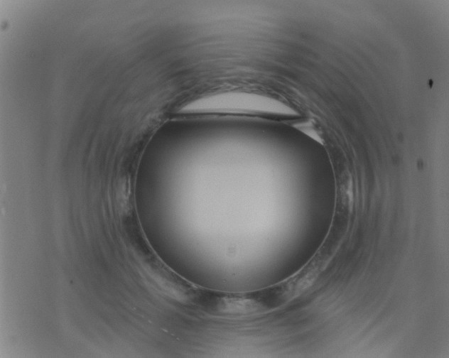 X0000075830605200610061824