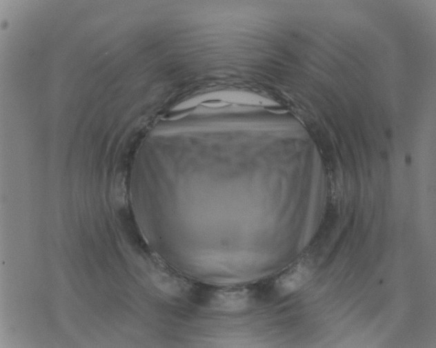 X0000075830606200610061824