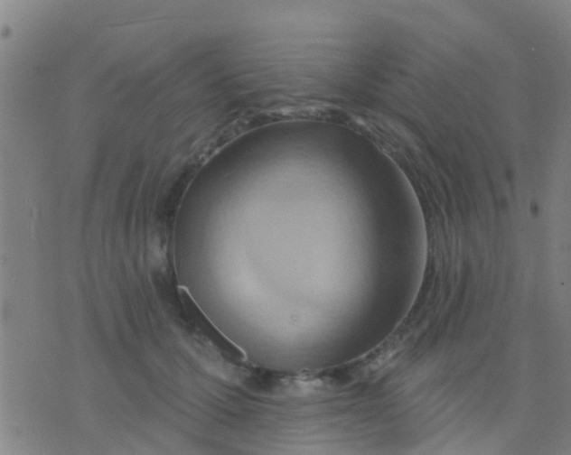 X0000075830607200610061824