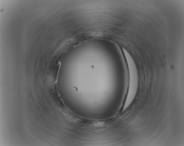 X0000075830609200610061824