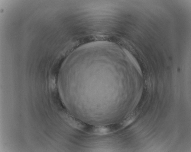 X0000075830610200610061824