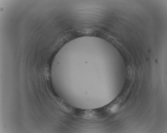 X0000075830612200610061824