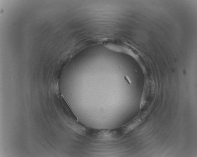 X0000075830613200610061824