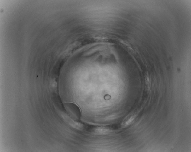 X0000075830614200610061824