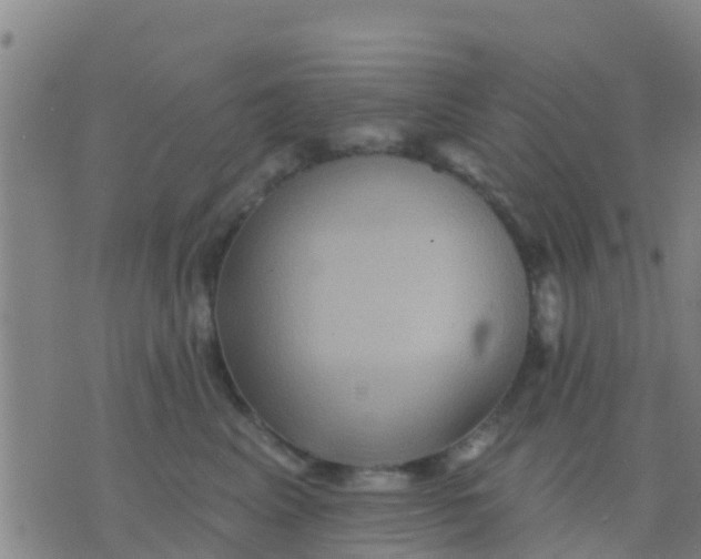 X0000075830617200610061823