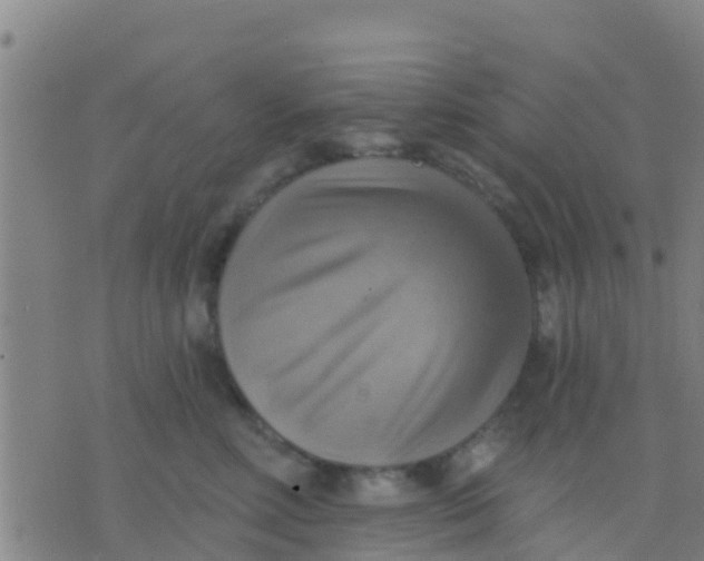 X0000075830618200610061823