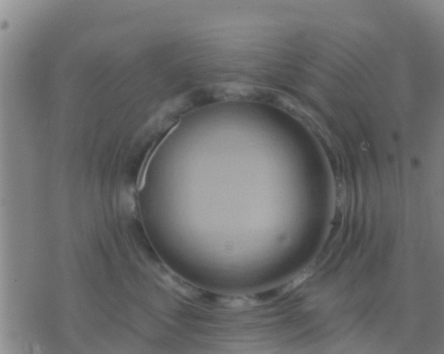 X0000075830621200610061823