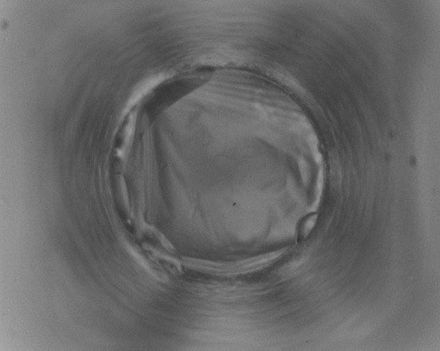 X0000075830626200610061823