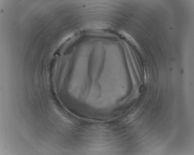 X0000075830627200610061823