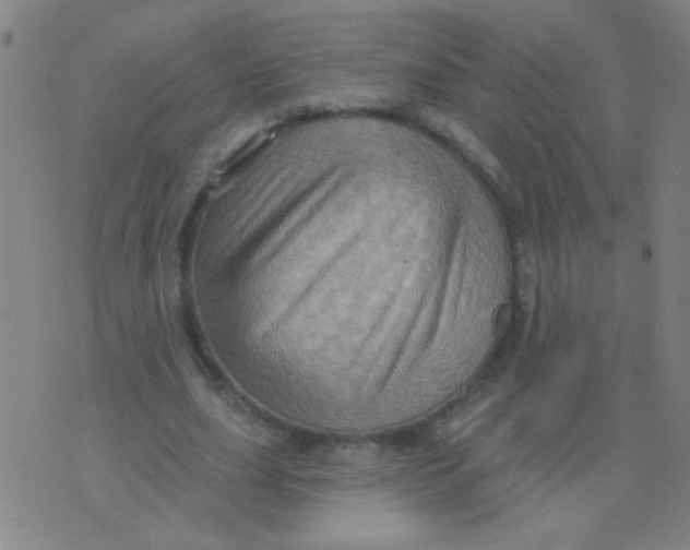 X0000075830631200610061823