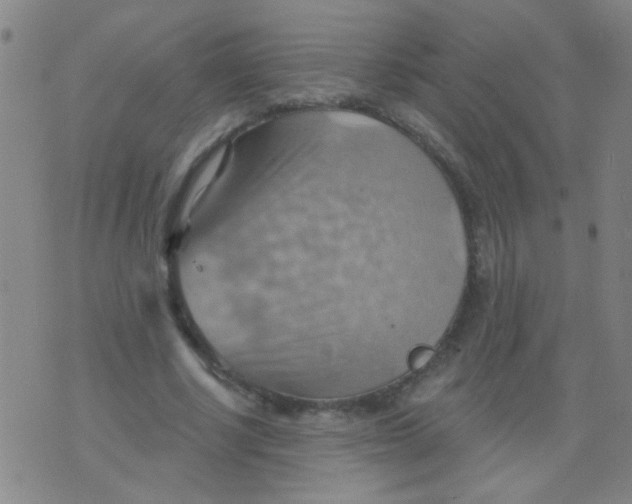 X0000075830634200610061823