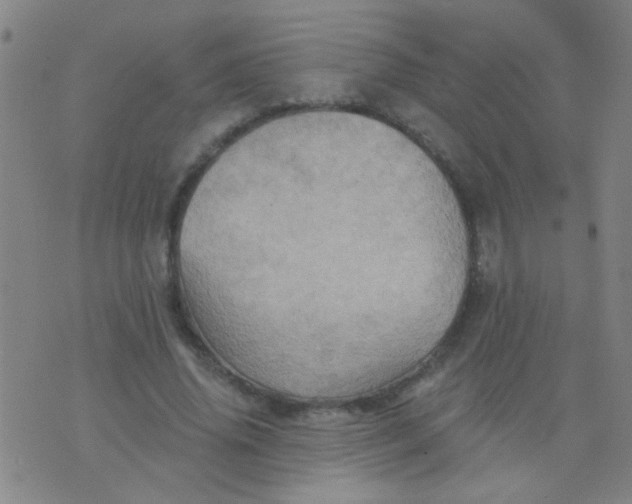 X0000075830636200610061823