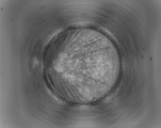 X0000075830637200610061823