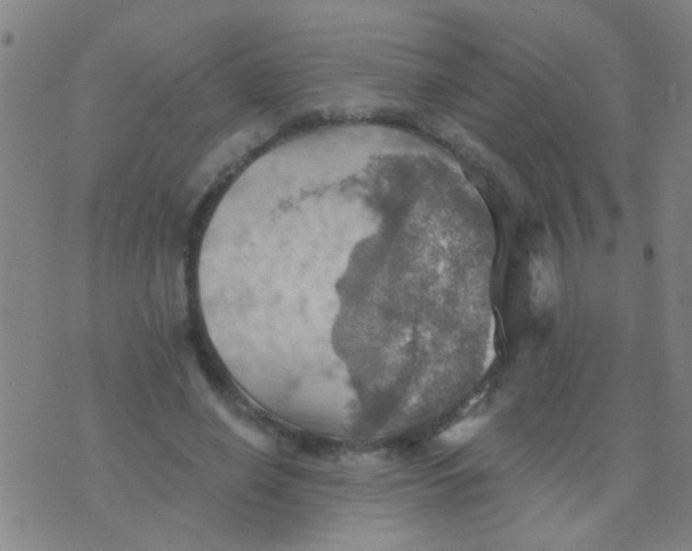 X0000075830638200610061823