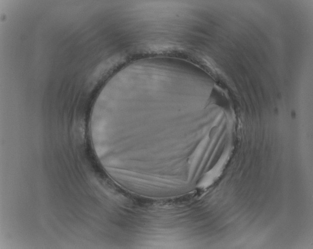 X0000075830640200610061823