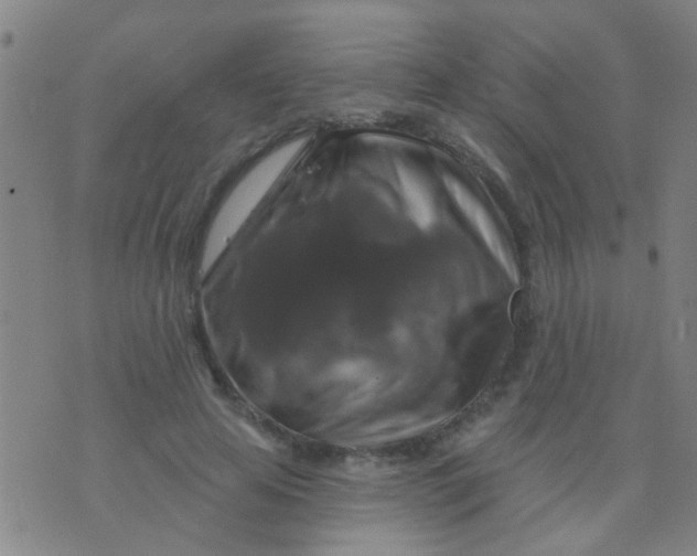 X0000075830641200610061823