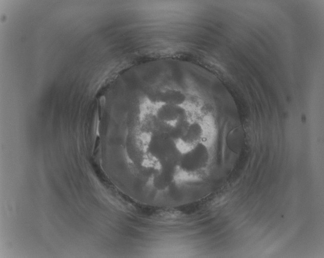 X0000075830642200610061823