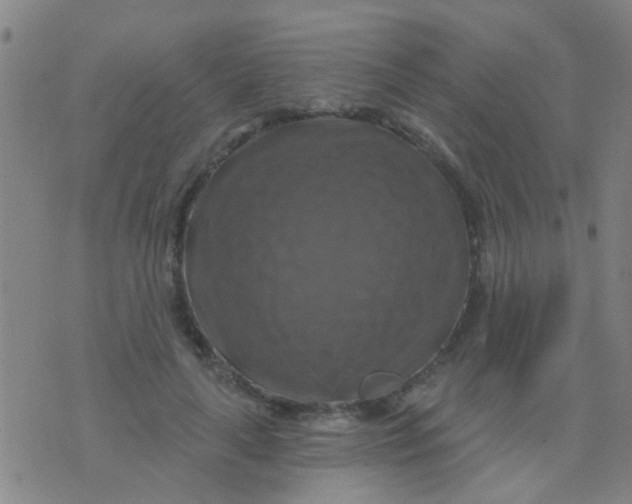 X0000075830643200610061823