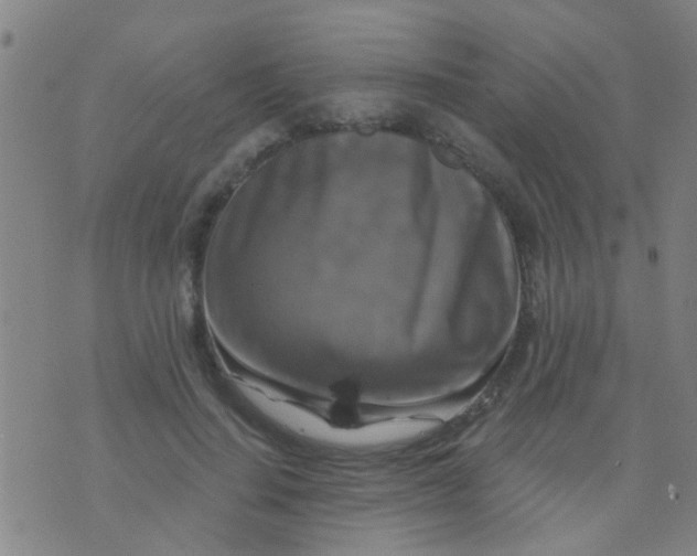 X0000075830644200610061823