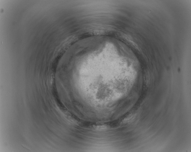 X0000075830645200610061823