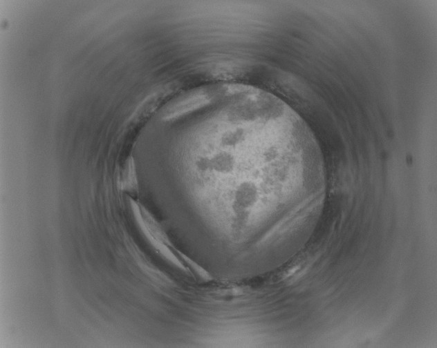 X0000075830646200610061823